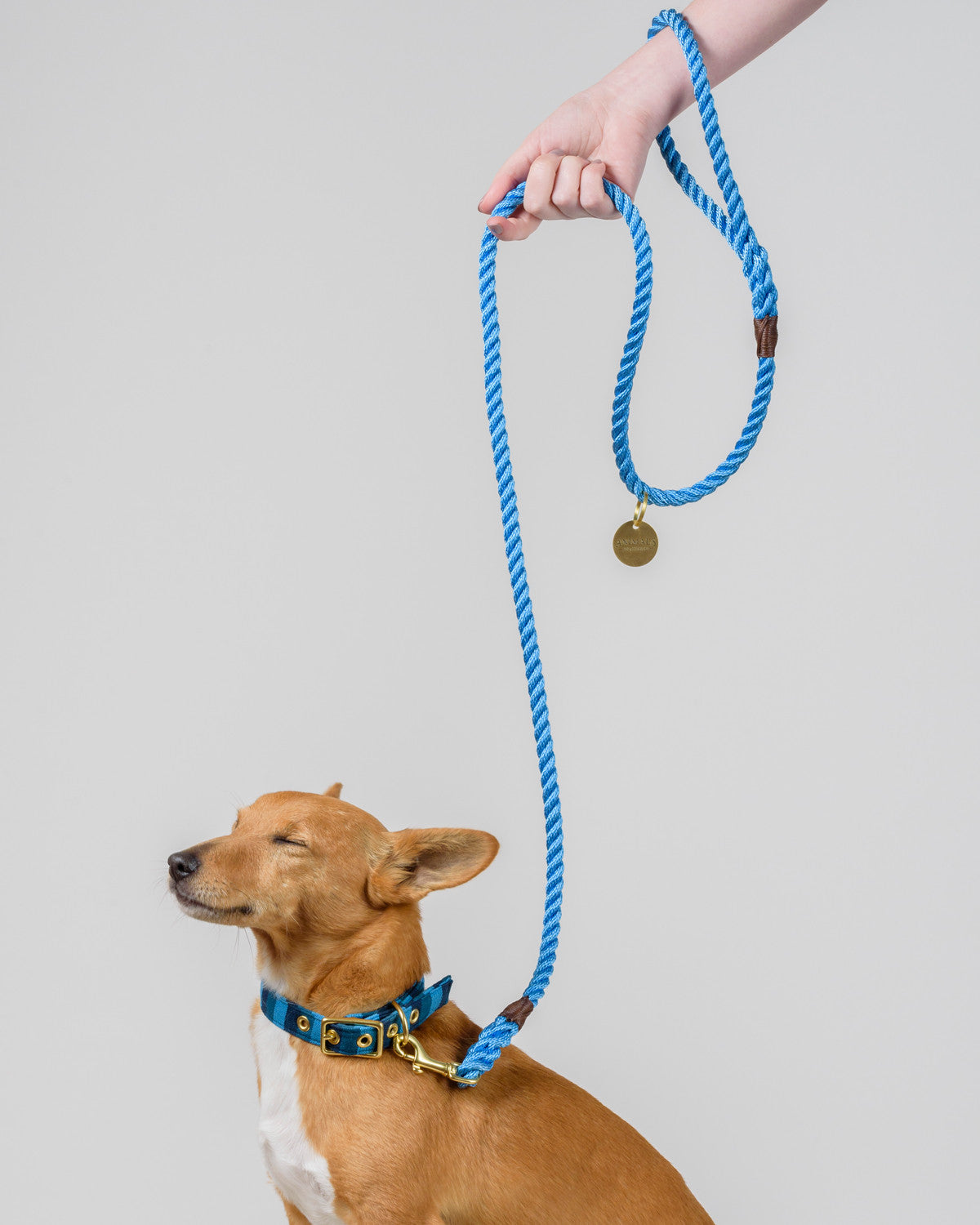 Sky Blue Rope Dog Leash - All Weather