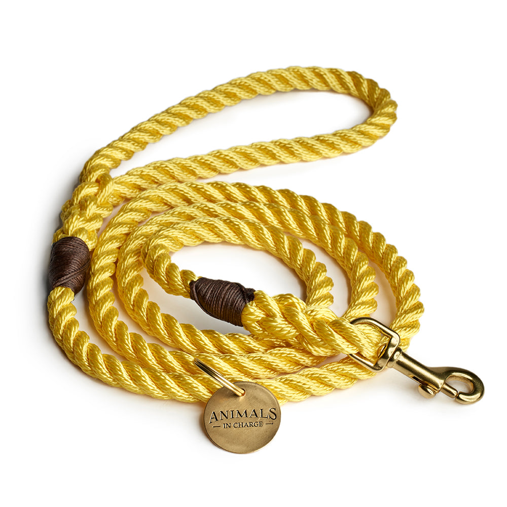 Nautical rope dog leash sales australia